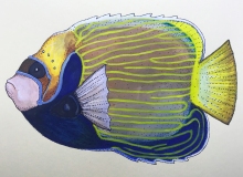 Fisch