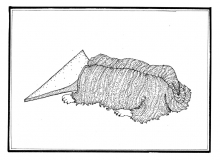 Eiskratzerhund