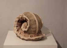 Fauna